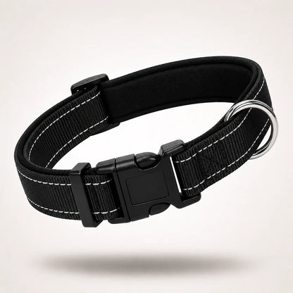 Reflektierendes Hundehalsband | Gepolstert, Verstellbar & Robust