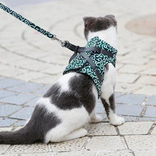 Cat Harness for Outdoor Cats | Safe & Comfortable