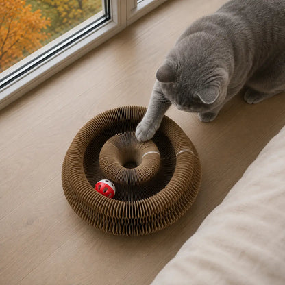 Katzenspielzeug für Katzen | Faltbares Papp-Labyrinth mit Ball
