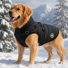 Wasserdichter Hundemantel mit Geschirr für kleine & mittlere Hunde