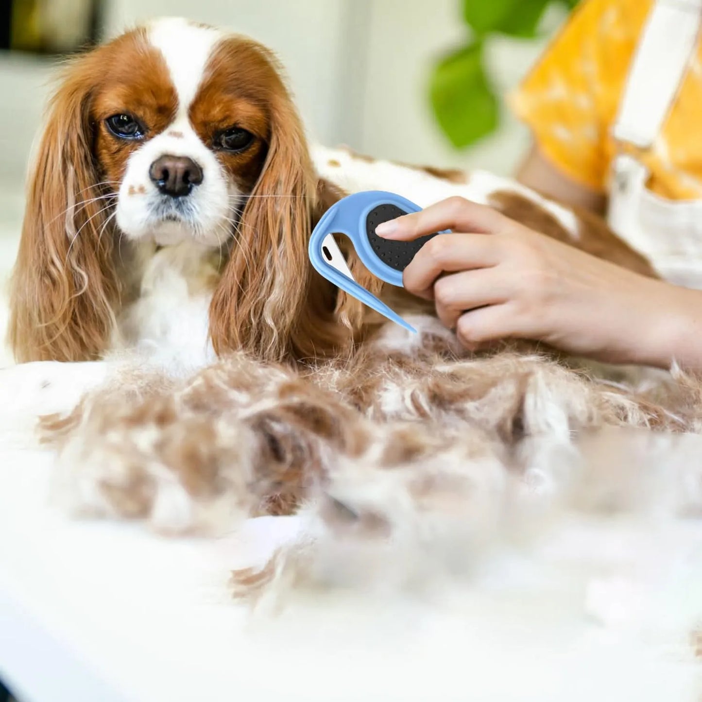 GroomEasy – Die entspannte Lösung gegen Knoten & Verfilzungen