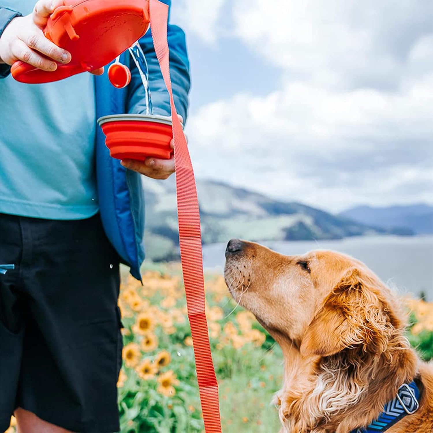 WalkBuddy – Die 3-in-1 Hundeleine mit integrierter Trinkflasche und Kotbeutelspender