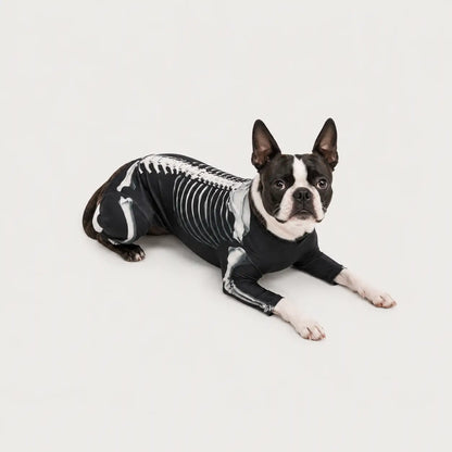 Halloween Partnerlook Set | Skelett Kostüm für Hund & Mensch