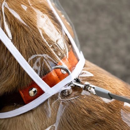 Hunde Regenmantel Transparent | Wasserdichter Regenponcho mit Kapuze
