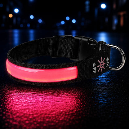 LED Hundehalsband USB Wiederaufladbar Leuchtend Verstellbar