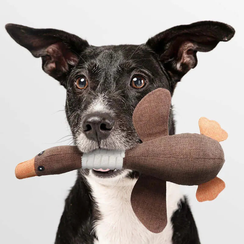KauKumpel – Das extra robuste Kauspielzeug für starke Hunde