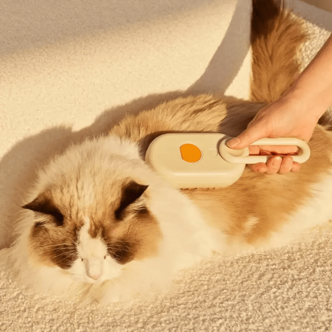 FellBuddy – Weiche Katzenbürste für sanfte Fellpflege