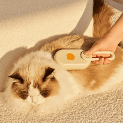 FellBuddy – Weiche Katzenbürste für sanfte Fellpflege