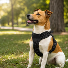 Hundegeschirr No Pull mit Griff | Verstellbar, Reflektierend & Bequem