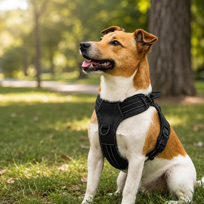 Hundegeschirr No Pull mit Griff | Verstellbar, Reflektierend & Bequem