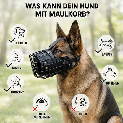 Hunde Maulkorb Edelstahl | Verstellbar & Atmungsaktiv