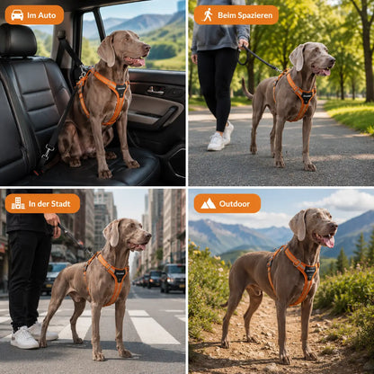 Hundegeschirr mit Griff & Reflektor | Verstellbares Hundegeschirr