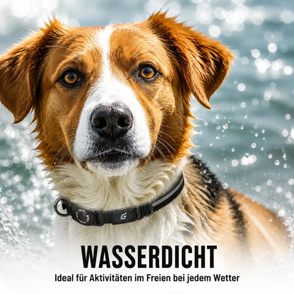 LED Hundehalsband mit AirTag Halterung | Reflektierend & sicher bei Nacht