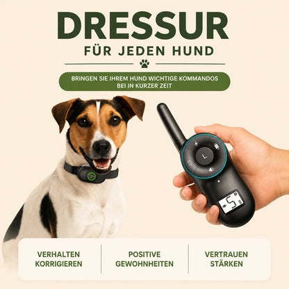 Anti-Bell Hunde Halsband mit Fernbedienung | Wasserdicht & USB