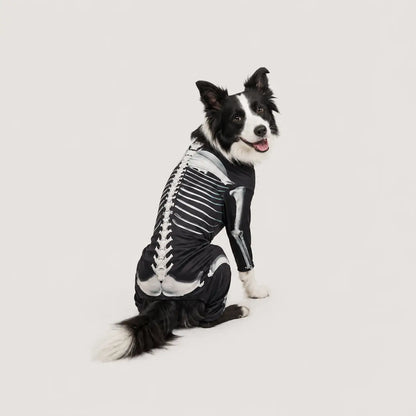 Halloween Partnerlook Set | Skelett Kostüm für Hund & Mensch