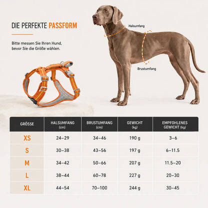 Hundegeschirr mit Griff & Reflektor | Verstellbares Hundegeschirr