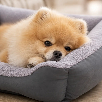Hundebett Winter | Warmes Plüschbett für Hunde mit hohem Rand