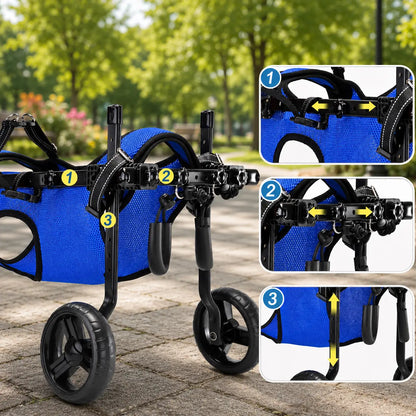 Lightweight Adjustable Dog Care Wheelchair | Stable & Comfortable