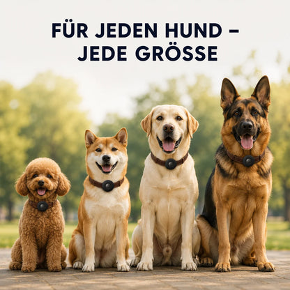 AirTag Halsbandhalterung für Hunde & Katzen | Sicher & robust