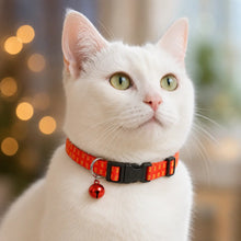 Tick collar for cats | Adjustable protection against insects