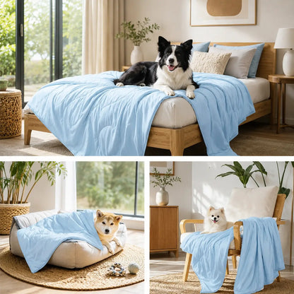 Kühlende Hundedecke Q-MAX > 0.5 | Waschbare Kühldecke für Hunde & Katzen