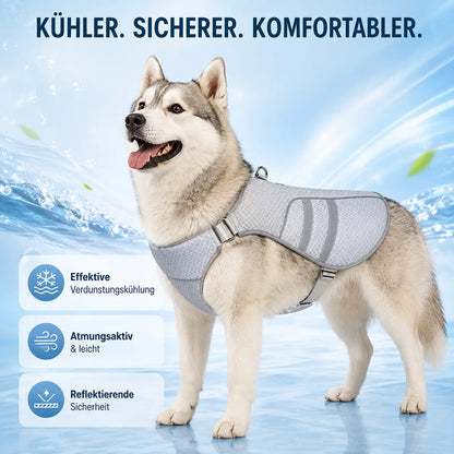 Hundekühlweste mit Verdunstungskühlung für warme Sommertage