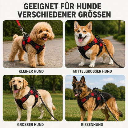 Reflektierendes Hundegeschirr mit Griff | Atmungsaktiv, Verstellbar & Gepolstert