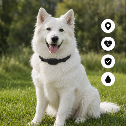 GPS Tracker for Dogs & Cats with Real-Time Location