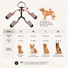 Wasserdichte Hundeschuhe mit Beinschutz | Rutschfest für Outdoor