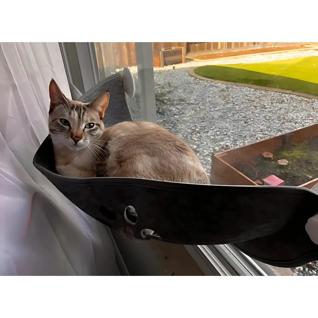 Fenster Hängematte für Katzen | Stabil & platzsparend