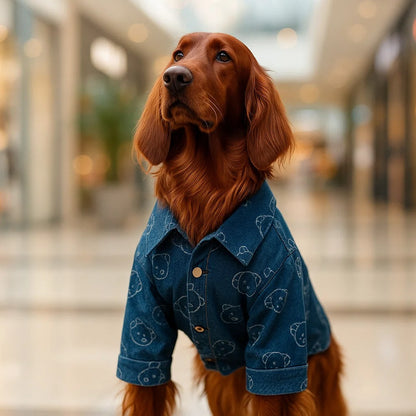Hundemantel Jeans | Stylische & Bequeme Hundejeansjacke Alltag