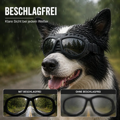 Hundeschutzbrille – Winddicht & mit UV-Schutz für kleine und mittelgroße Hunde