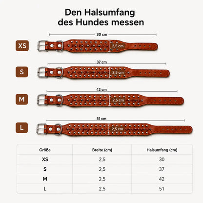 Leder Hundehalsband mit Nieten & Stacheln | stilvoll & robust