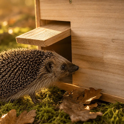 Igelhaus aus Holz für den Garten | Sicheres Winterquartier für Igel