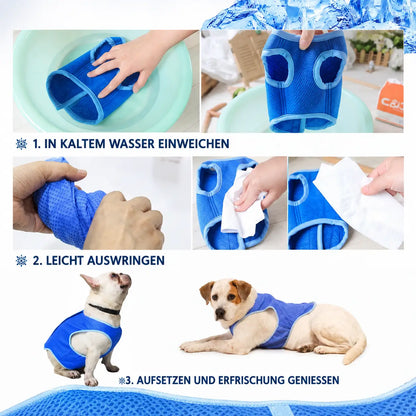 Kühlweste für Hunde & Katzen | Atmungsaktive Kühlweste für den Sommer