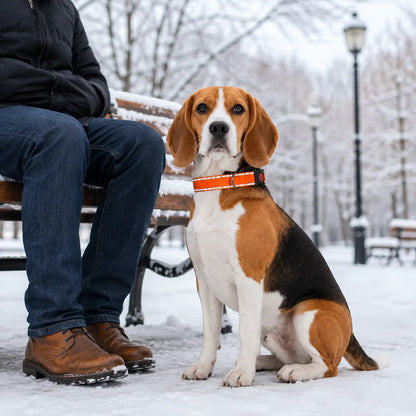 Reflektierendes Hundehalsband | Verstellbar mit Klickverschluss