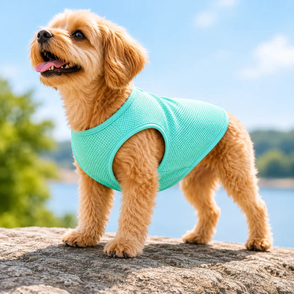 Kühlweste für Hunde & Katzen | Atmungsaktive Kühlweste für den Sommer