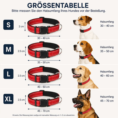Reflektierendes Hundehalsband | Gepolstert, Verstellbar & Robust