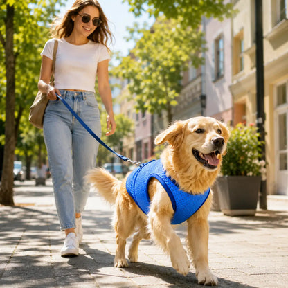 Hunde Kühlweste | Atmungsaktive Kühlweste für heiße Sommertage