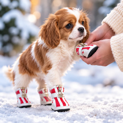 Hundeschuhe für kleine Hunde | Rutschfeste Pfotenschuhe 4er-Set