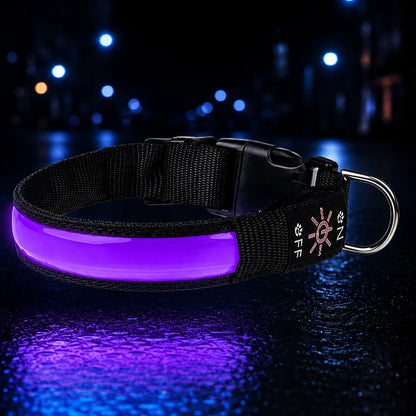 LED Hundehalsband USB Wiederaufladbar Leuchtend Verstellbar