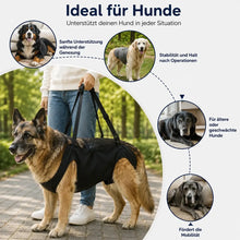 Hunde tragehilfe für große Hunde | Tragehilfe für mehr Mobilität