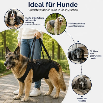 Hunde tragehilfe für große Hunde | Tragehilfe für mehr Mobilität