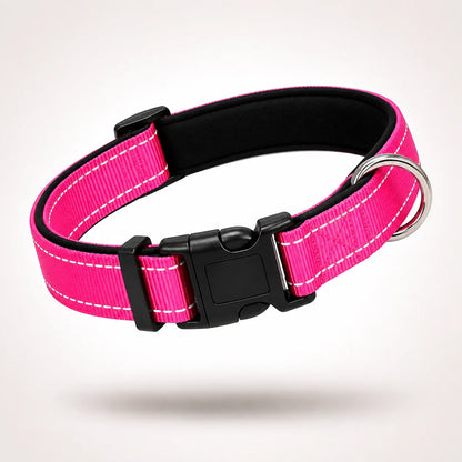 Reflektierendes Hundehalsband | Gepolstert, Verstellbar & Robust