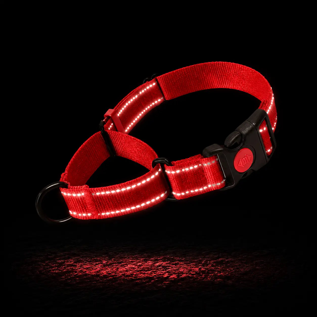 Reflektierendes Hundehalsband 