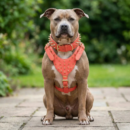 Leather Dog Harness | Adjustable Spiked Harness for Dogs