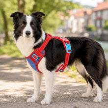 Anti-Zug Hundegeschirr mit Griff | Reflektierend & Verstellbar