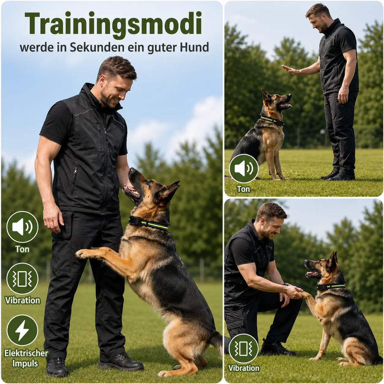 Anti_Bell_Halsband Trainingsmodi