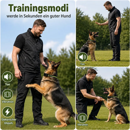 Anti_Bell_Halsband Trainingsmodi