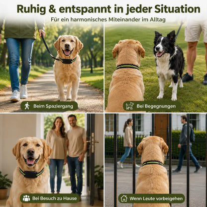 Anti_Bell_Halsband Anwendungsszenarien 